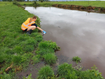 $52,500 fine for effluent mismanagement