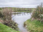 Greg Campbell says NZ waterways are crying out for just the right approach to nutrient management.