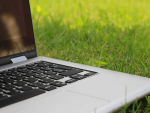 B+LNZ has updated its Employment Hub.