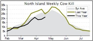 Cows still failing to “run” 