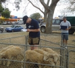 Tasman kicks of Young Farmer