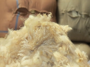 Cavalier approved to buy WSI wool scouring business