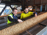 Fonterra employees Jonathon Milne and Kevin Liao during the wood pellet trial at Te Awamutu last year.