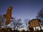 Greenpeace should lose charitable status - Feds