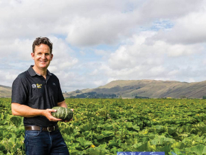 Hawke&#039;s Bay&#039;s Shane Newman is one of New Zealand&#039;s largest buttercup squash growers.