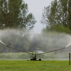Urgency for Ruataniwha Water decisions