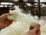 Kiwi wool reaching great heights in the US