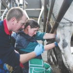 Poor insertions restricting Teatseal’s assault on mastitis