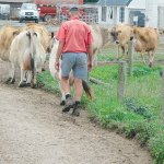 NZ dairy farmers upbeat 
