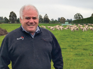 Royal A&amp;P Show Returns to Canterbury: Record livestock entries and renewed prestige