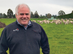 Royal A&amp;P Show Returns to Canterbury: Record livestock entries and renewed prestige