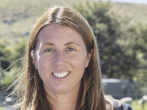 Beef + Lamb NZ urges Government to close carbon forestry loopholes amid rising whole-farm sales