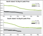 LAMB | Farmgate lamb prices continue to feel heat