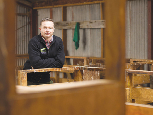 Sheep &amp; Beef Farm Profits Forecast to Double in 2025-26