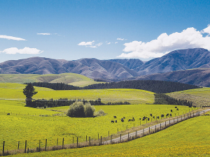 AgriZeroNZ is a partnership comprised of MPI and several NZ agribusiness entities such as Fonterra and Rabobank.