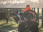 WorkSafe is urging rural New Zealand to refocus on the risk of quad bike roll-overs.