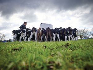 Safer Farms issues safety alert on ATV rollovers when towing calf milk trailers