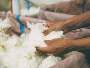 Wools of New Zealand chief executive John McWhirter says more companies and other organisations are seeking to ensure their premises are more sustainable and looking after the wellbeing of their people.