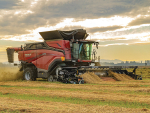 Case IH AF10 Combine Impresses During Challenging Canterbury Harvest