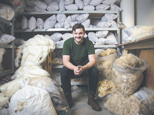 Logan Williams, a guest speaker at the East Coast Farming Expo, has created what could be ‘the’ answer for the struggling strong wool industry.