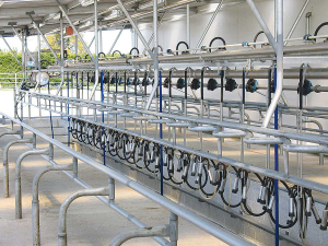 Maintain milk quality by aiming to remove all milk residues from the plant and destroying any resident bacteria.