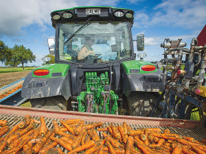 Labour shortage is now a thing of the past for many fruit and veggie growers, says HortNZ chair Barry O’Neil. Photo Credit: HortNZ NZGrower Magazine