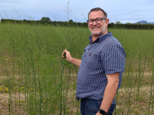 Bumper asparagus season on the horizon