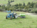 A foliar fertiliser is applied directly to the leaves of the plant.