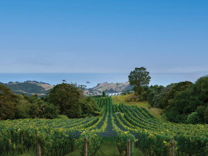 Haere Ra 2025: Tāmaki Makaurau, Auckland