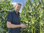 Fall Armyworm in NZ Maize: Four Years of Research