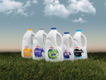 Should Fonterra sell its consumer arm?