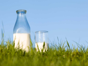 NZ milk production surges 17.8% at start of 2025/26 dairy season