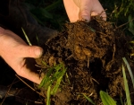 Soil's ability to store carbon and contain greenhouse gases could globally limit climate warming.