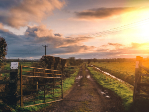 Farm sales were down in the three months to May 2022 compared to the same period ending May 2021. Photo Credit: Century 21.