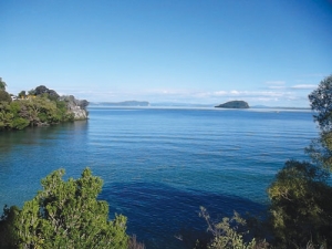 Getting nitrogen leaching load down is crucial to ensuring Lake Taupo’s health.