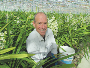 Peter Rensen with orchids growing in his Pukekohe nursery.