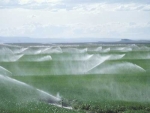 Irrigation New Zealand welcomes the Government's 'Next steps for fresh water' consultation document but encourages the Government to 'get on with it.'