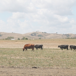 Time for action as dry kicks in