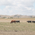 Time for action as dry kicks in