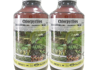 Chlorpyrifos ban in New Zealand sparks concerns over grass grub control