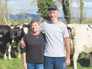 Waiuku dairy farmers Nick and Nikki Ruygrok, Holstein Friesian breeders have spent their career perfecting the art of efficiency in their dairy herd.