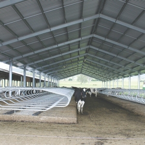 Floating beds take Oz cows to cloud nine