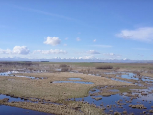 A scene from the video. 