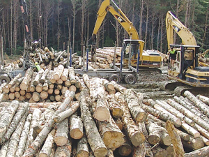 The forest and wood processing sector brings in between $6 and $7 billion per year, employing 35,000 people.