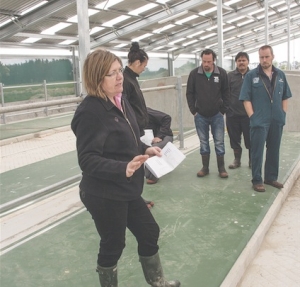 Uni farm models higher profit, lower impact