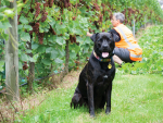 Donna Riley and Luna at Ōhau Wines