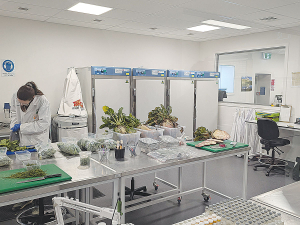 Ravensdown opens state-of-the-art soil testing lab in Rolleston