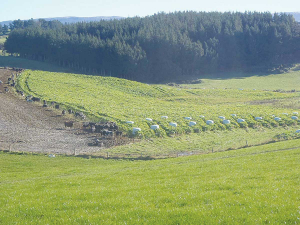 Environment Southland is encouraging farmers to plan ahead for winter 2022.