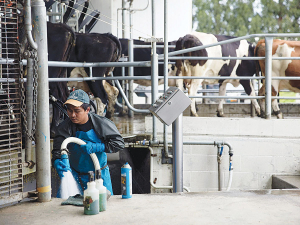 The dairy sector is struggling to obtain visas for migrant workers and is blaming Government for the impasse.