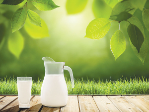 World Milk Day was celebrated around the world on June 1.